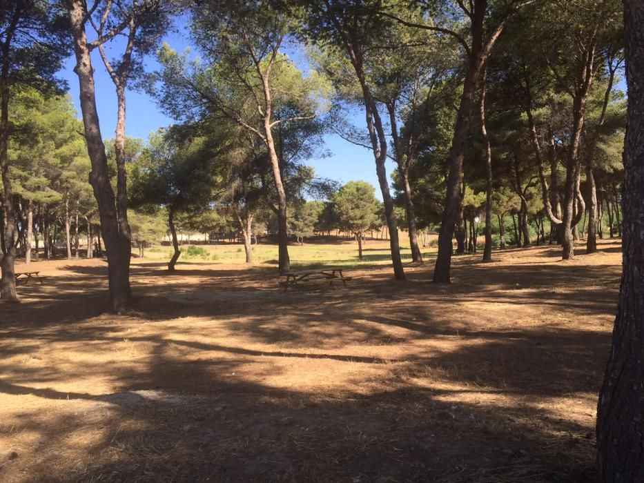 Inauguración del parque del Campamento Benítez.