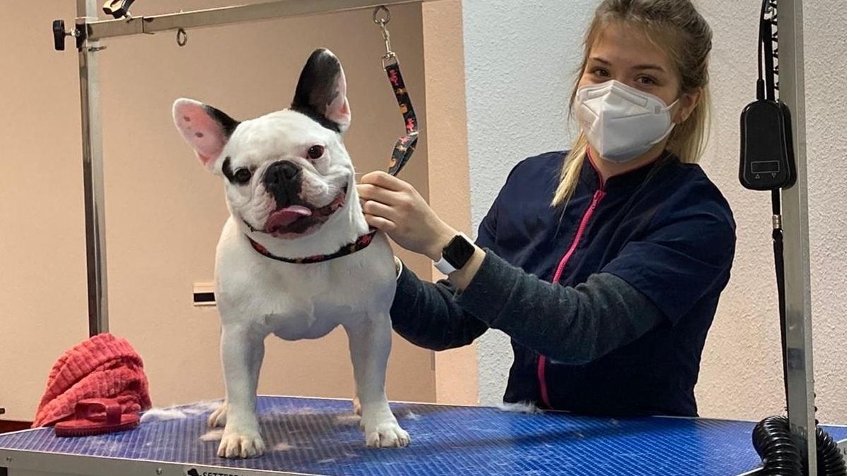 Lizeth Dahiana Angoy en su peluquería canina, en Ejea de los Caballeros.