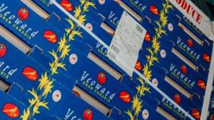 El Supremo libra a los tomateros de Las Palmas de devolver 12 millones en ayudas