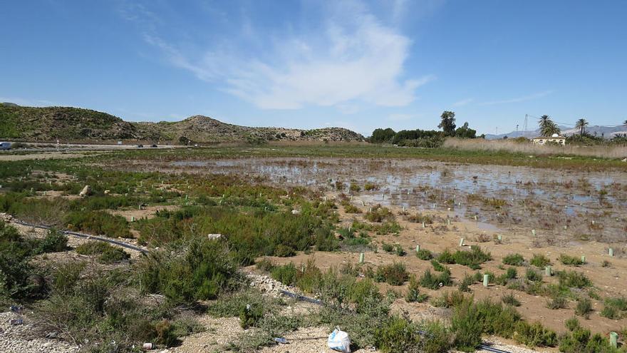 AHSA asegura que está previsto que un vial corte por medio de esta zona del Saladar