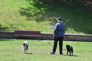La correa del perro abre debate en A Coruña