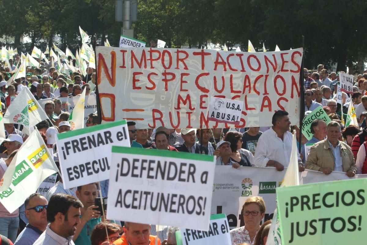 Córdoba se suma a la gran manifestación del olivar en Madrid