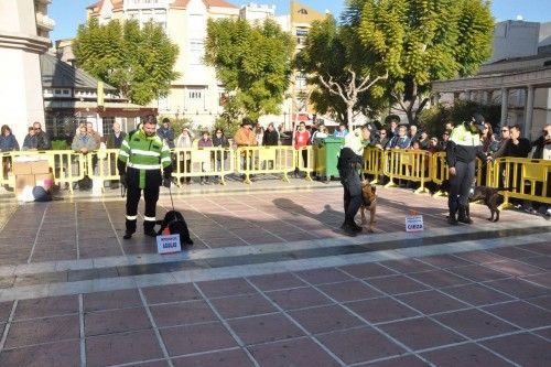 Exhibición canina en Cieza