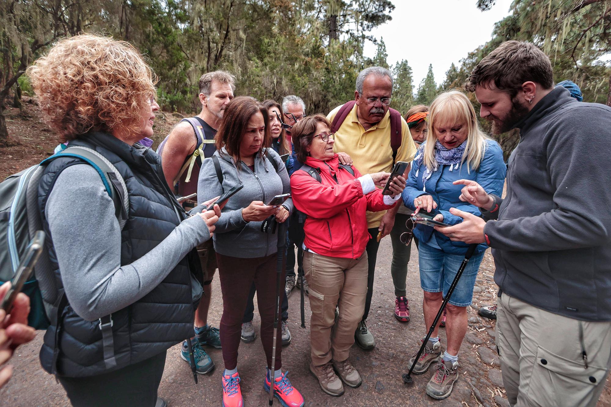 Tercera edición del Biomaratón de Flora Española, en el Parque Recreativo La Caldera, La Orotava