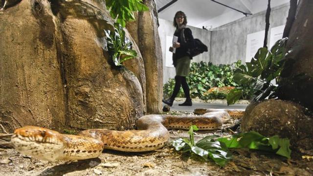 Imagen del Museo de la Biodiversidad