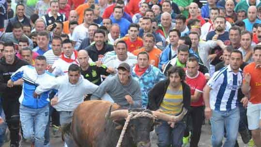 El Toro de las Peñas en la primera parte de su recorrido.