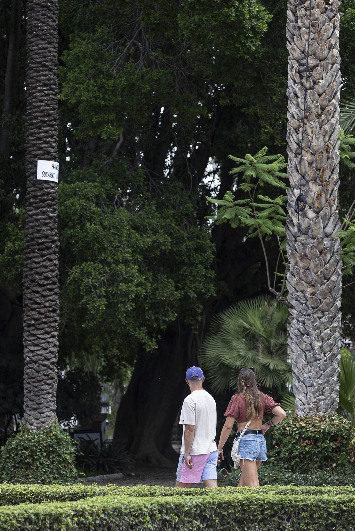 El parque municipal y la monumentalidad de sus palmeras es uno de los atractivos de Elche de cara al turismo francés