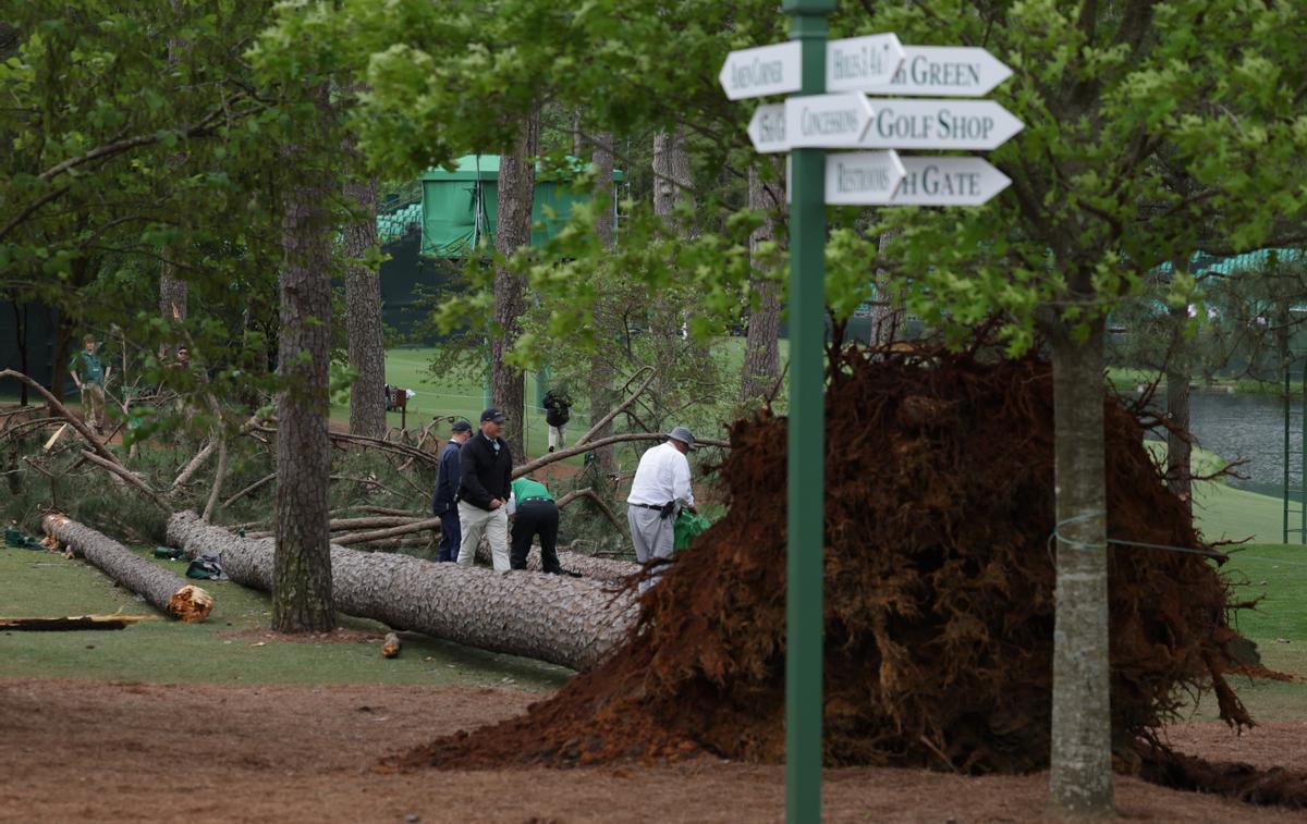 Uno de los grandes árboles derribado por el viento en Augusta