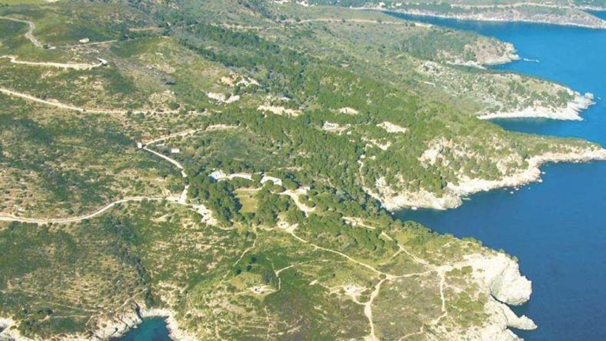 Roses aprofita l&#039;Aplec de Falconera per mostrar el renovat camí de ronda