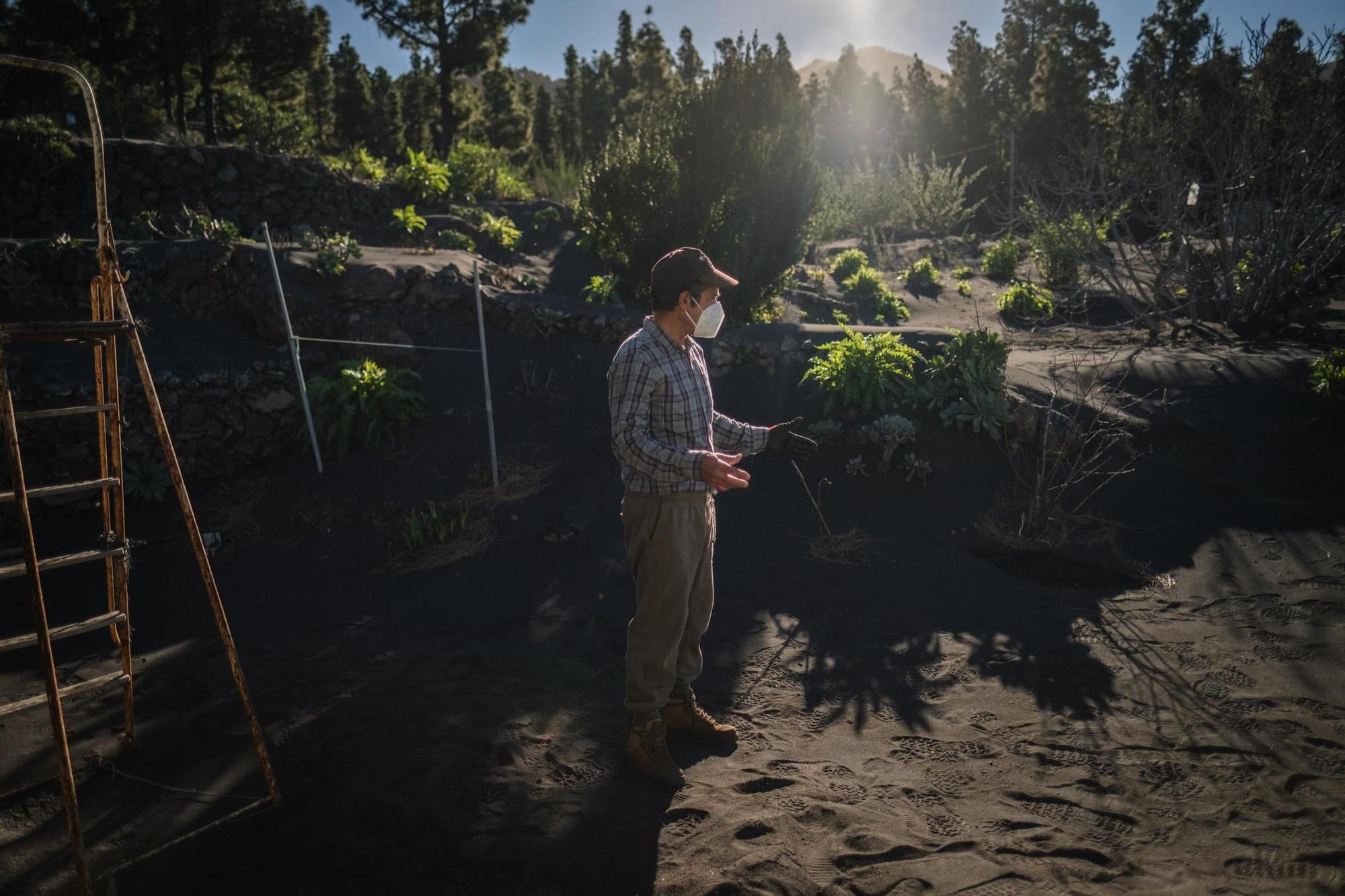 Regreso a sus hogares de los desplazados por el volcán de La Palma