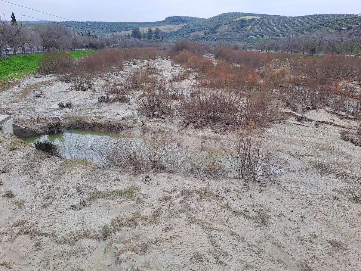 Acumulación de barro en las riberas del río en Castro.
