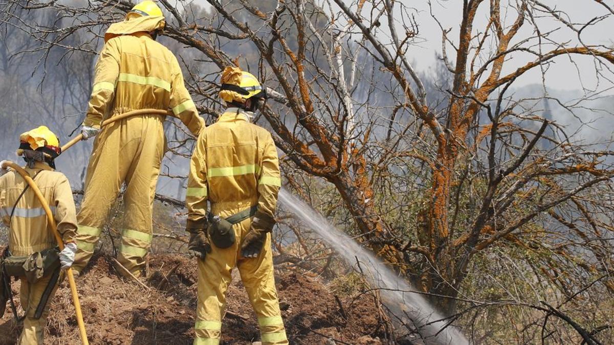 Bomberos forestales combatiendo las llamas en la comarca de Calatayud esta semana. /  SERVICIO ESPECIAL