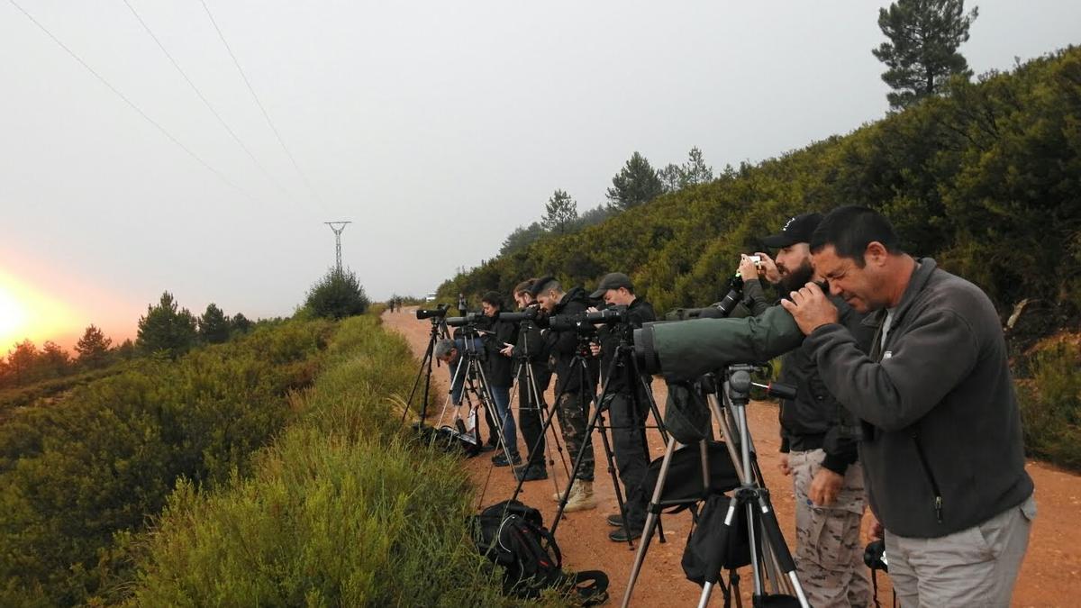 Observación de fauna en la Sierra de la Culebra