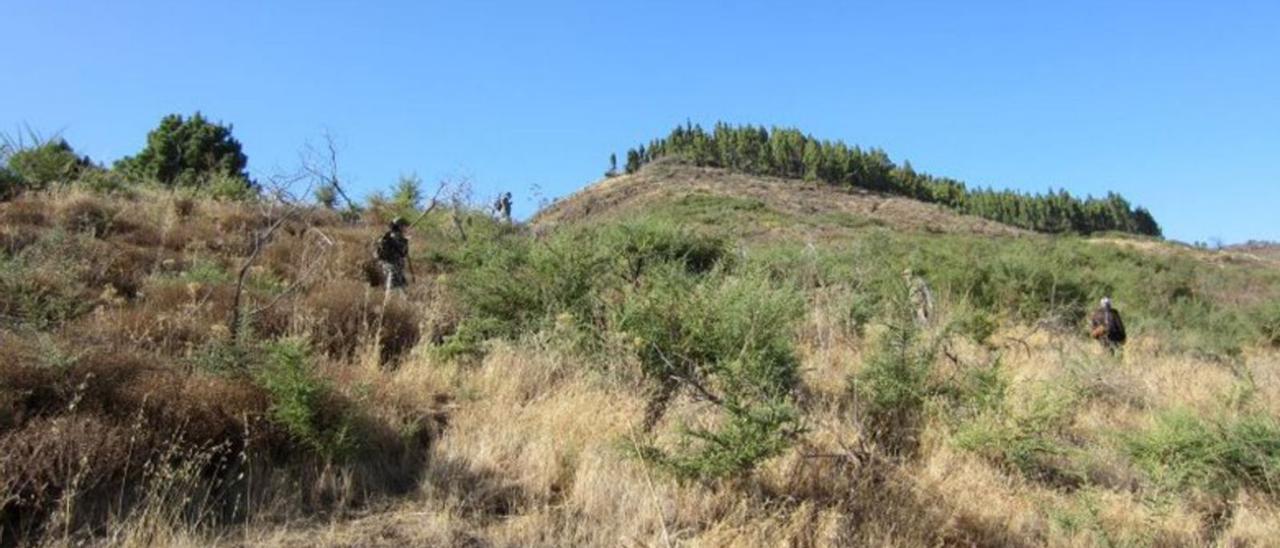 Cazadores en la finca de El Solís, en la zona de cumbre del municipio de San Mateo. | | LP/DLP