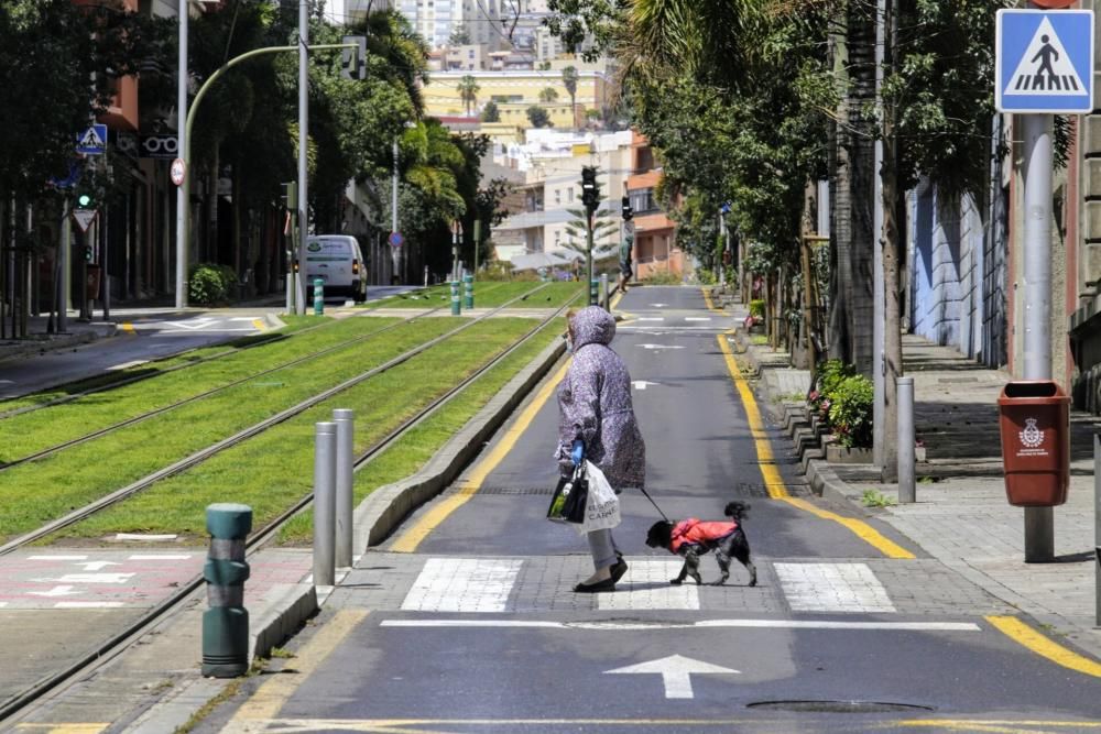 Coronavirus | Paseos por La Laguna y Santa Cruz