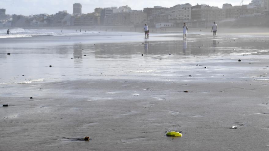 Microplásticos en Las Canteras