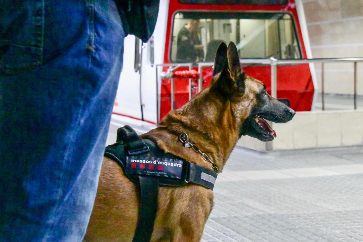 Mossos d'Esquadra en la antigua estación de Sabadell Rambla