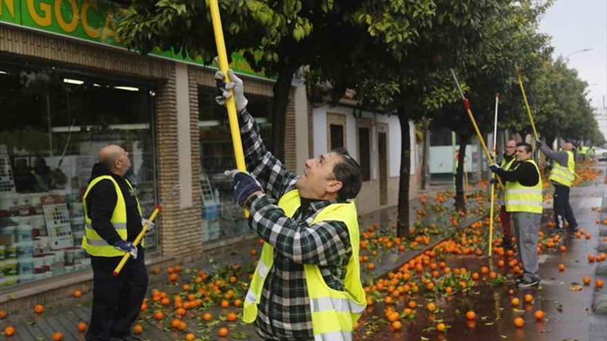 La elevada temporalidad de los contratos