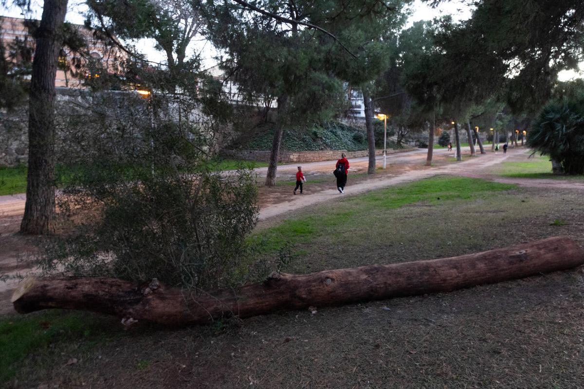 El Jardín del Turia de València tendrá gestión privada.