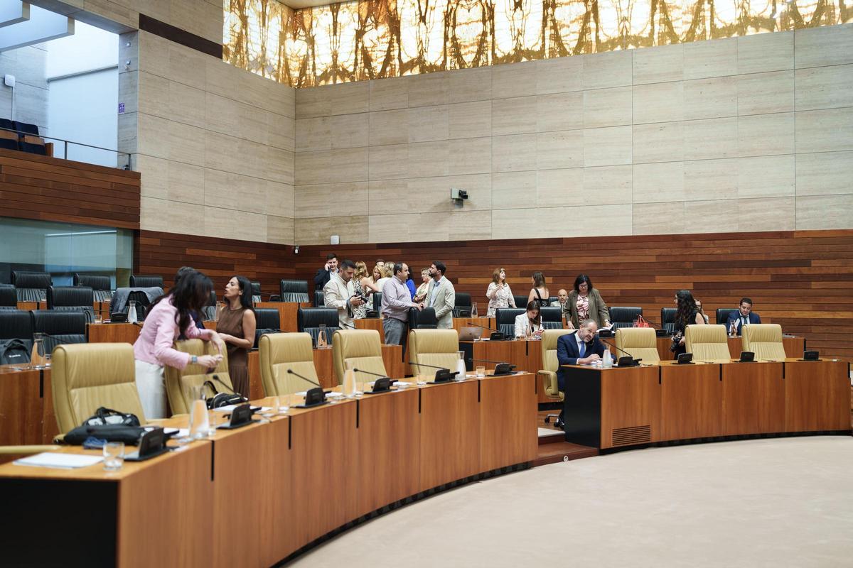 Fotogalería | Las imágenes del pleno en la Asamblea de Extremadura, este jueves
