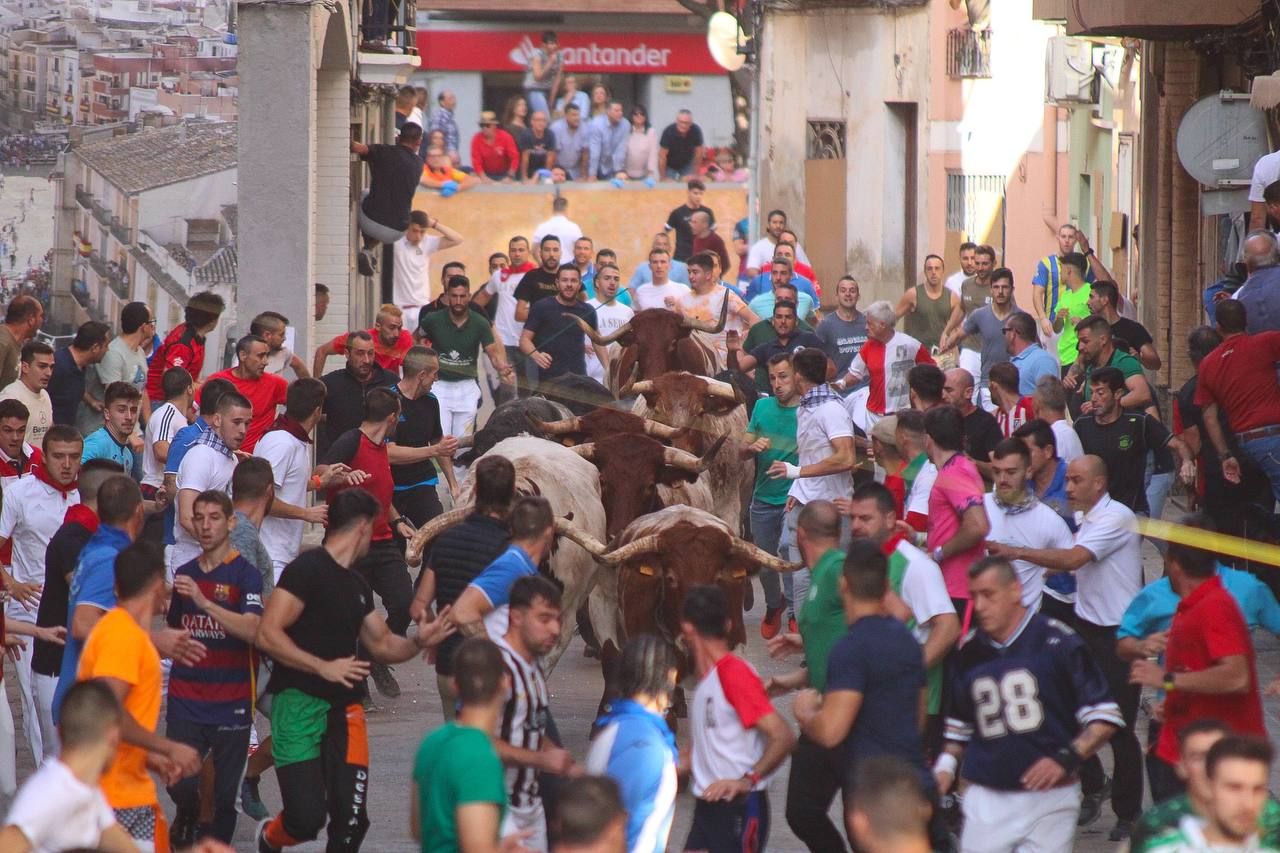 Las mejores imágenes del encierro de  Couto de Fornilhos y Santa Teresa en Onda