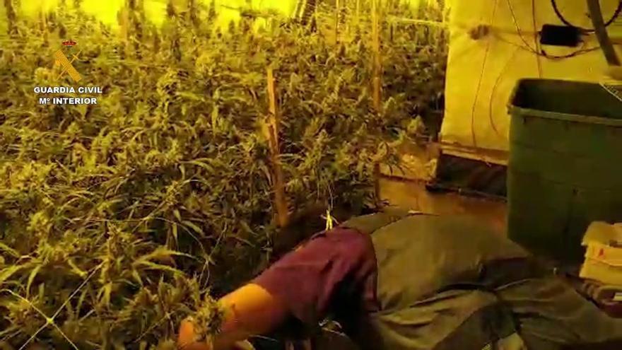 Desmantelan una organización criminal dedicada a la distribución de marihuana por Europa