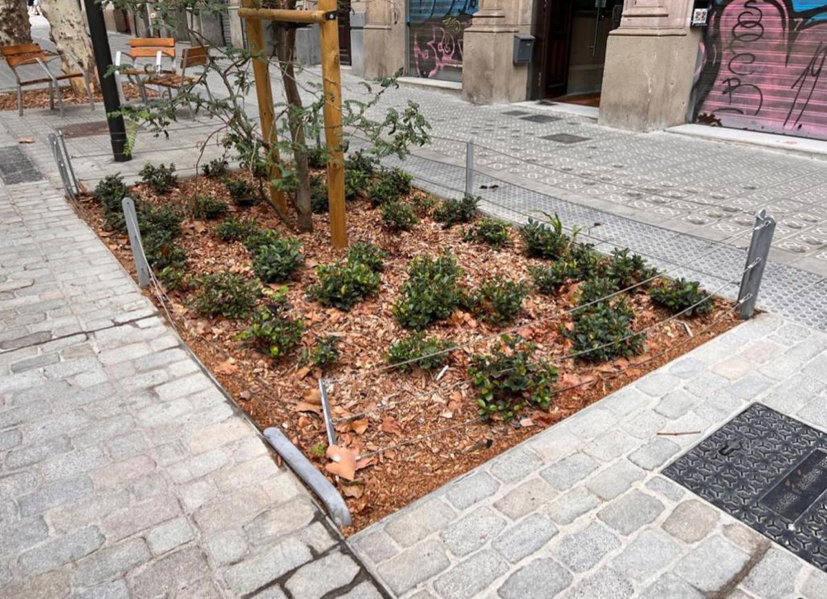 Trias denuncia «deixadesa i falta de reg» a la superilla de Consell de Cent Trias denuncia «deixadesa i falta de reg» a la superilla de Consell de Cent