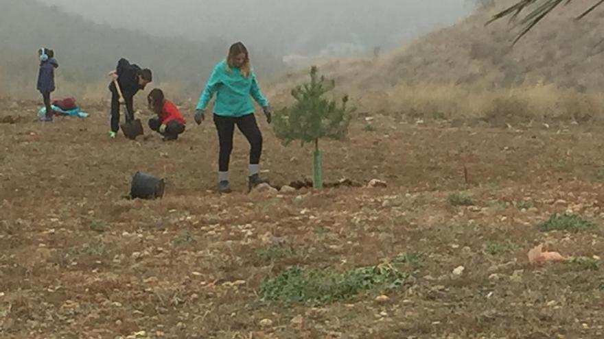 Una iniciativa plantará 200 árboles en la dehesa Mínguez en Coria