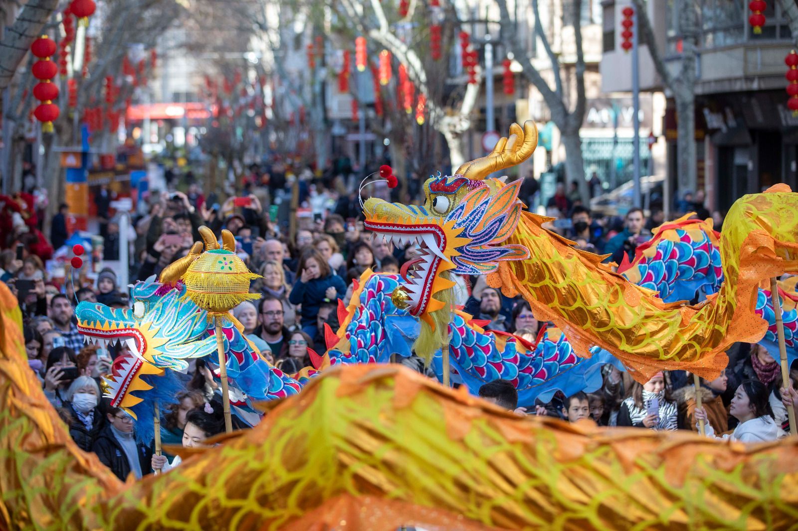 Tanzende Drachen: So bunt feiert Palma de Mallorca das chinesische Neujahrsfest