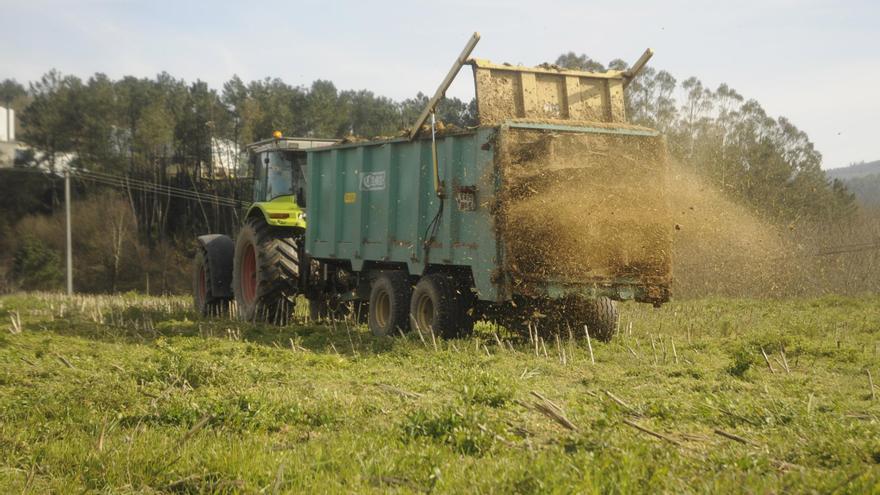 Las fincas alquiladas al Banco de Terras baten récord, pero son solo un 25% de las cedidas