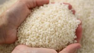 Granos de arroz de la Illa de Buda.