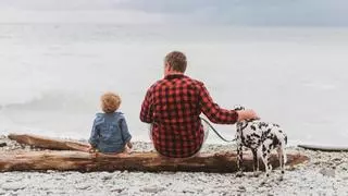 Decisión salomónica de un juzgado gallego en un caso de divorcio: el hijo se queda en Galicia, el perro se va a Valencia