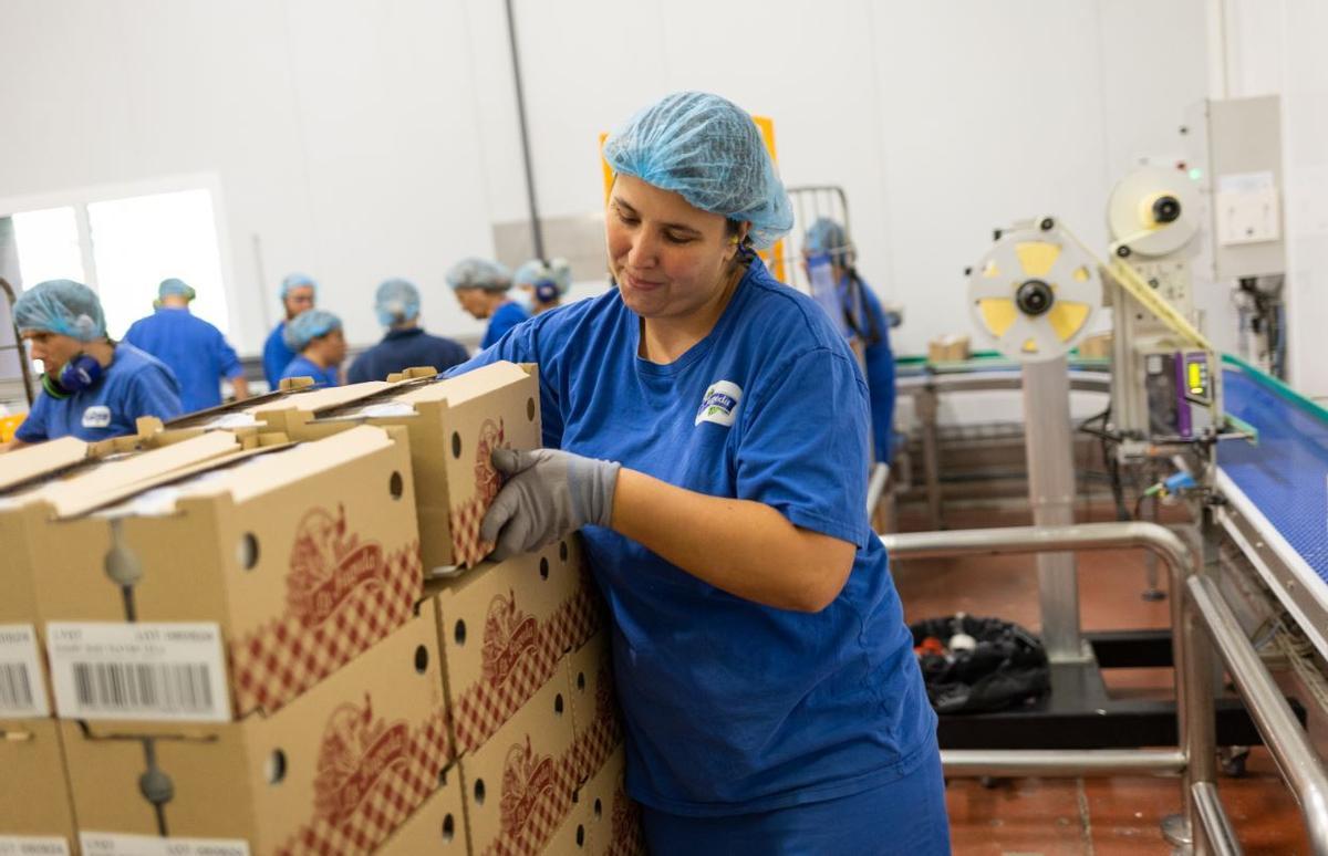 Trabajadores de La Fageda en uno de los centros de trabajo de la cooperativa