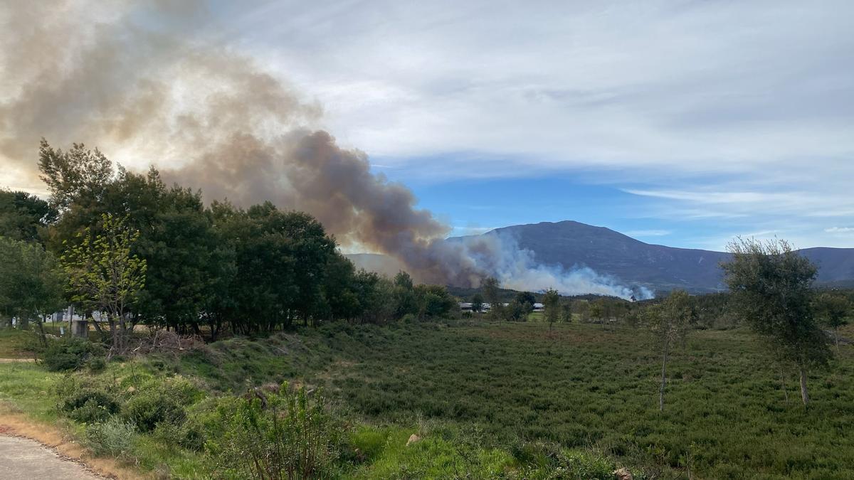 Incendio forestal.