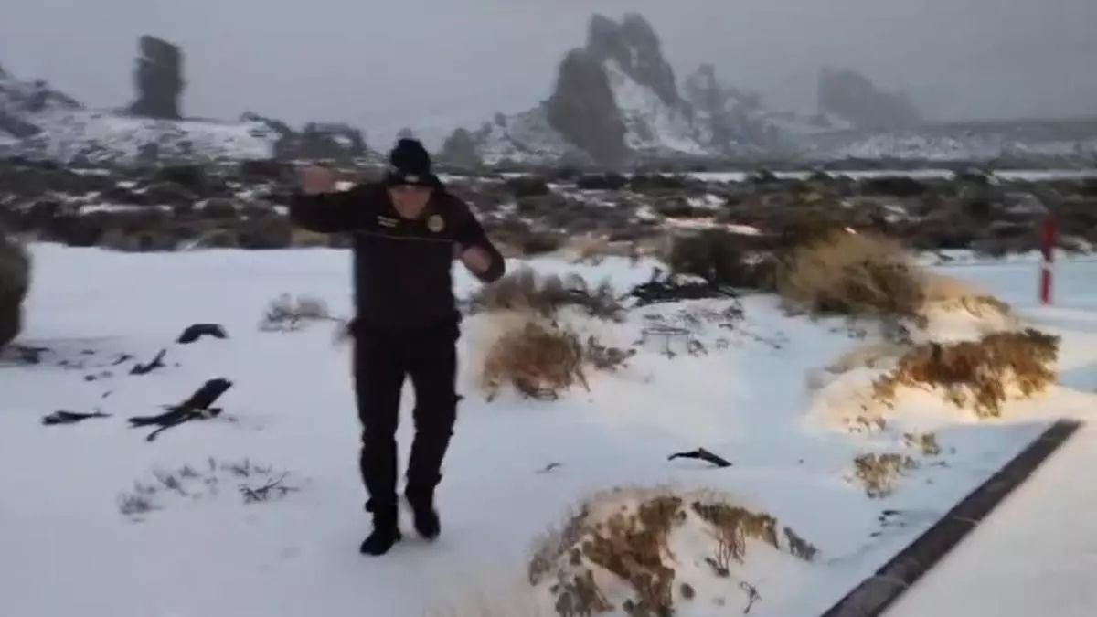 La borrasca Emilia deja nieve en el Teide