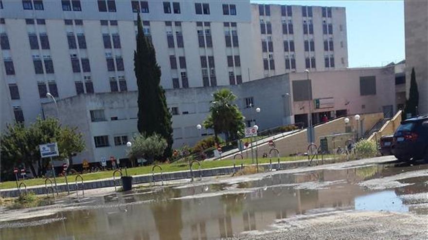 Satse denuncia &quot;los socavones&quot; y &quot;desperfectos&quot; del parking del Reina Sofía