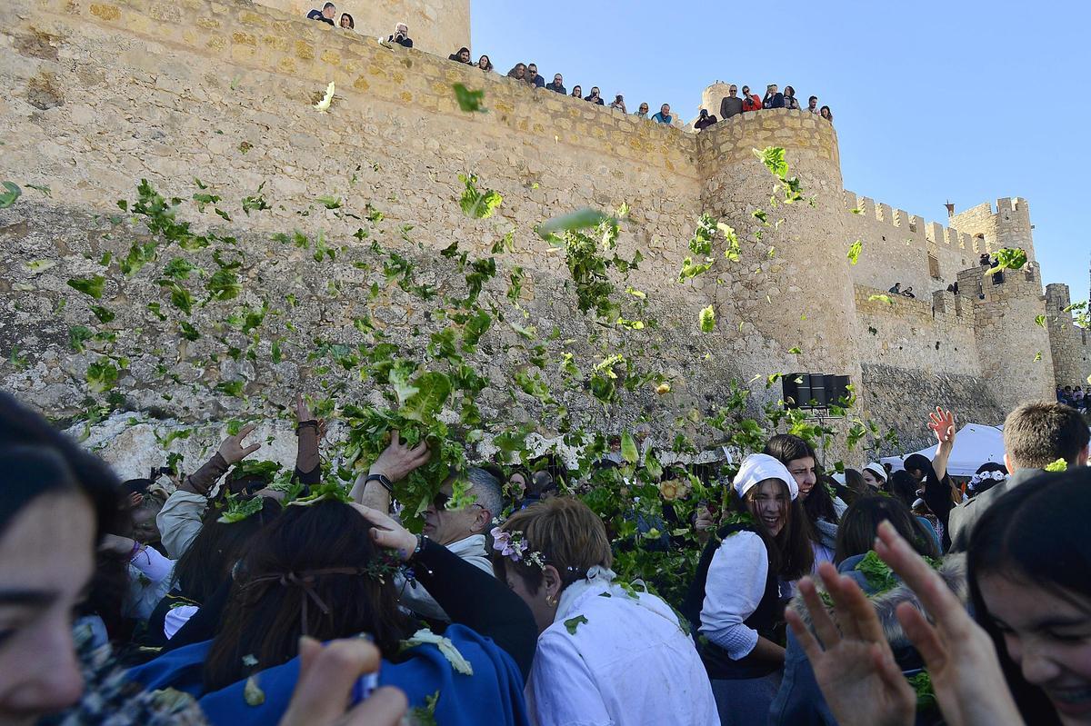 Lechugas al cielo para una batalla campal en Villena