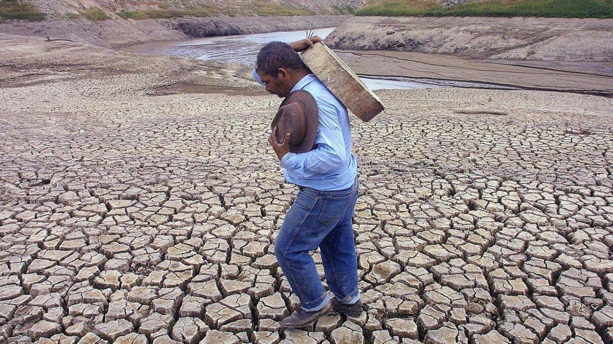 Un hombre camina por un paisaje árido