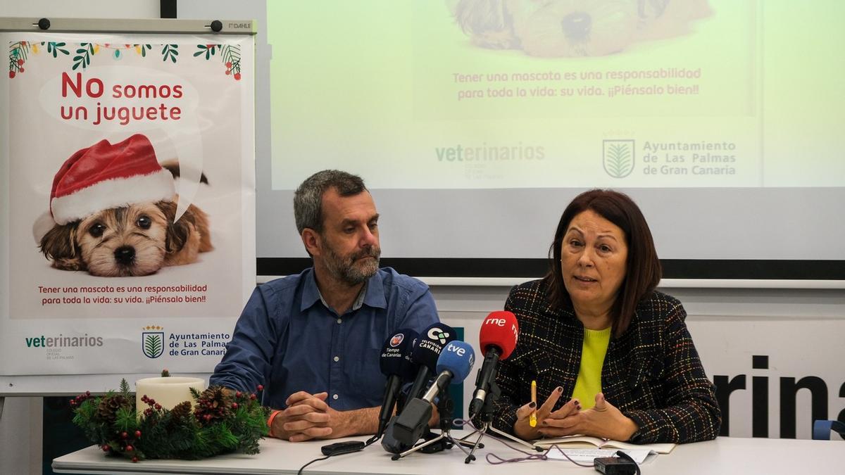 Ayuntamiento de LPGC y Colegio de Veterinarios lanzan una campaña para fomentar la responsabilidad en la adopción de mascotas.