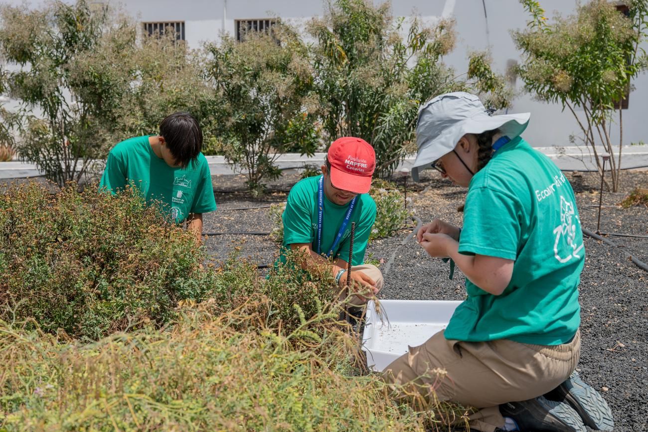 Transición Ecológica premia a los 'Guardianes de Famara' por la restauración ecológica