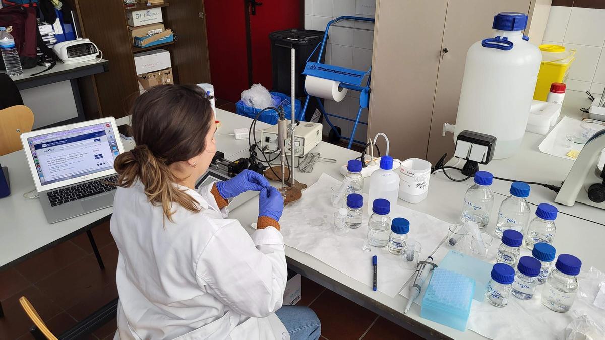 Una de las investigadoras del equipo realiza trabajos en laboratorio.