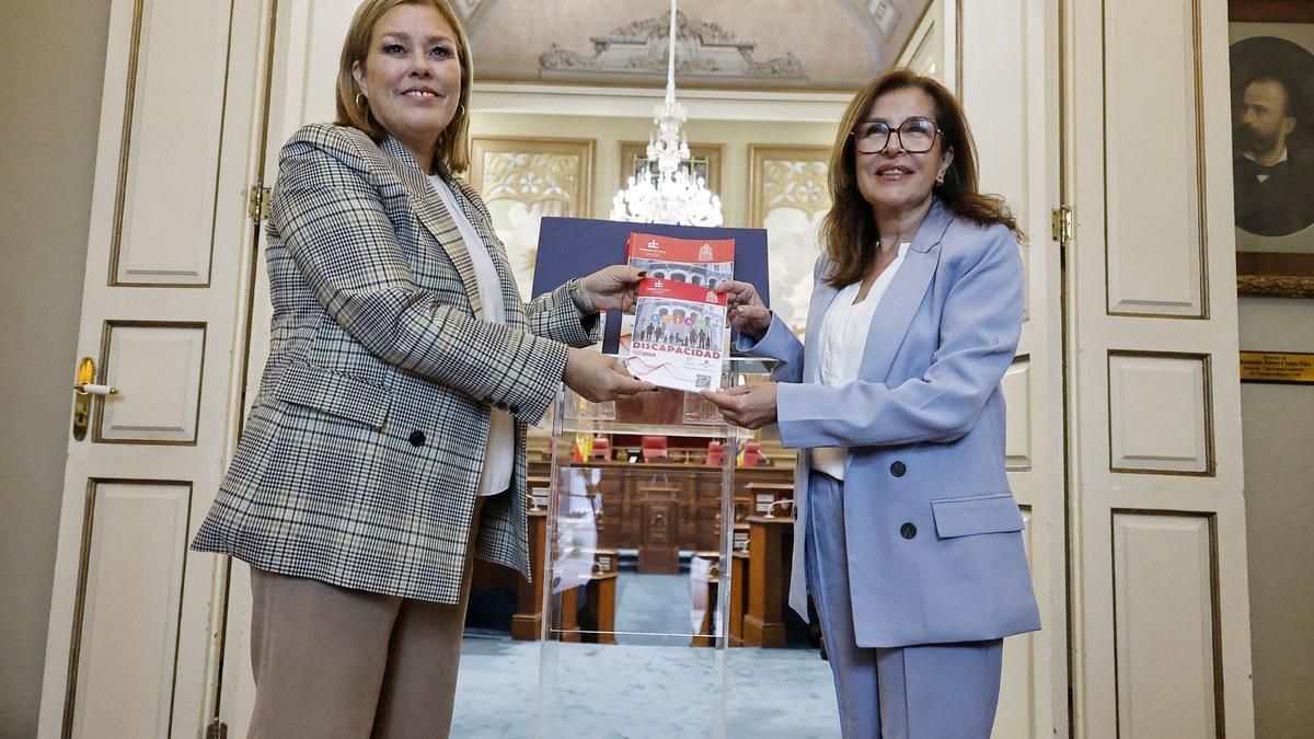 Informe de la Diputación del Común al Parlamento de Canarias
