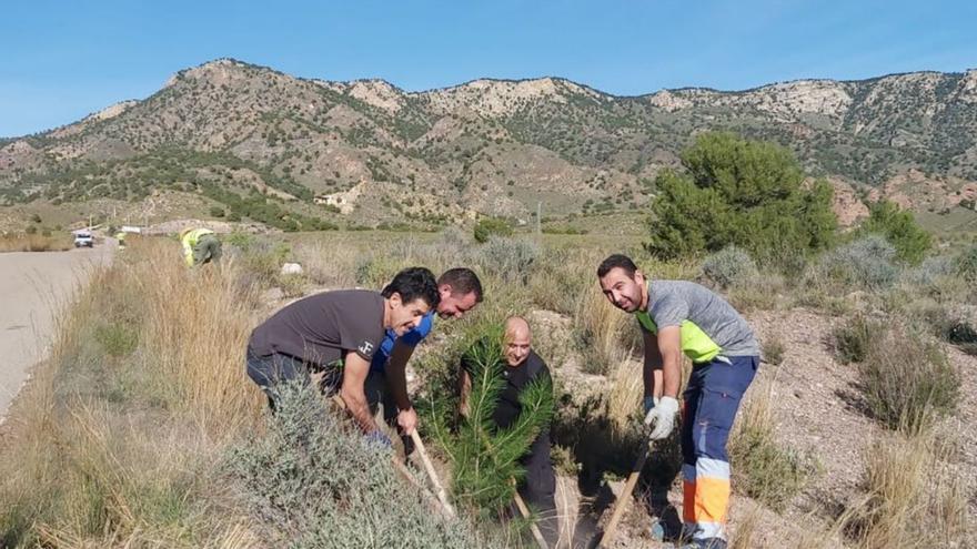 Los vecinos de La Hoya apadrinarán árboles en el camino  que va al santuario