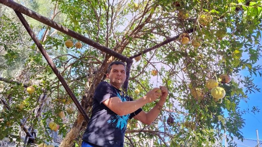 Un &#039;ángel&#039; quiere alejar el cable de Carrizal