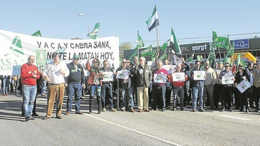 «Matar cabras y vacas no es solución»