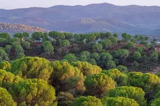 La Reserva de la Biosfera andaluza con castillos medievales y más de 4.000 kilómetros cuadrados