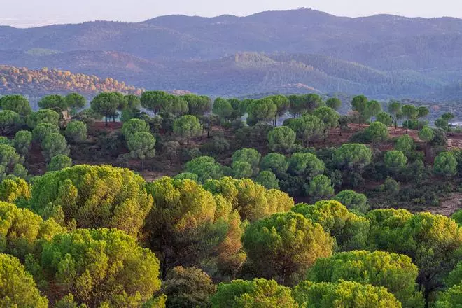 La Reserva de la Biosfera andaluza con castillos medievales y más de 4.000 kilómetros cuadrados