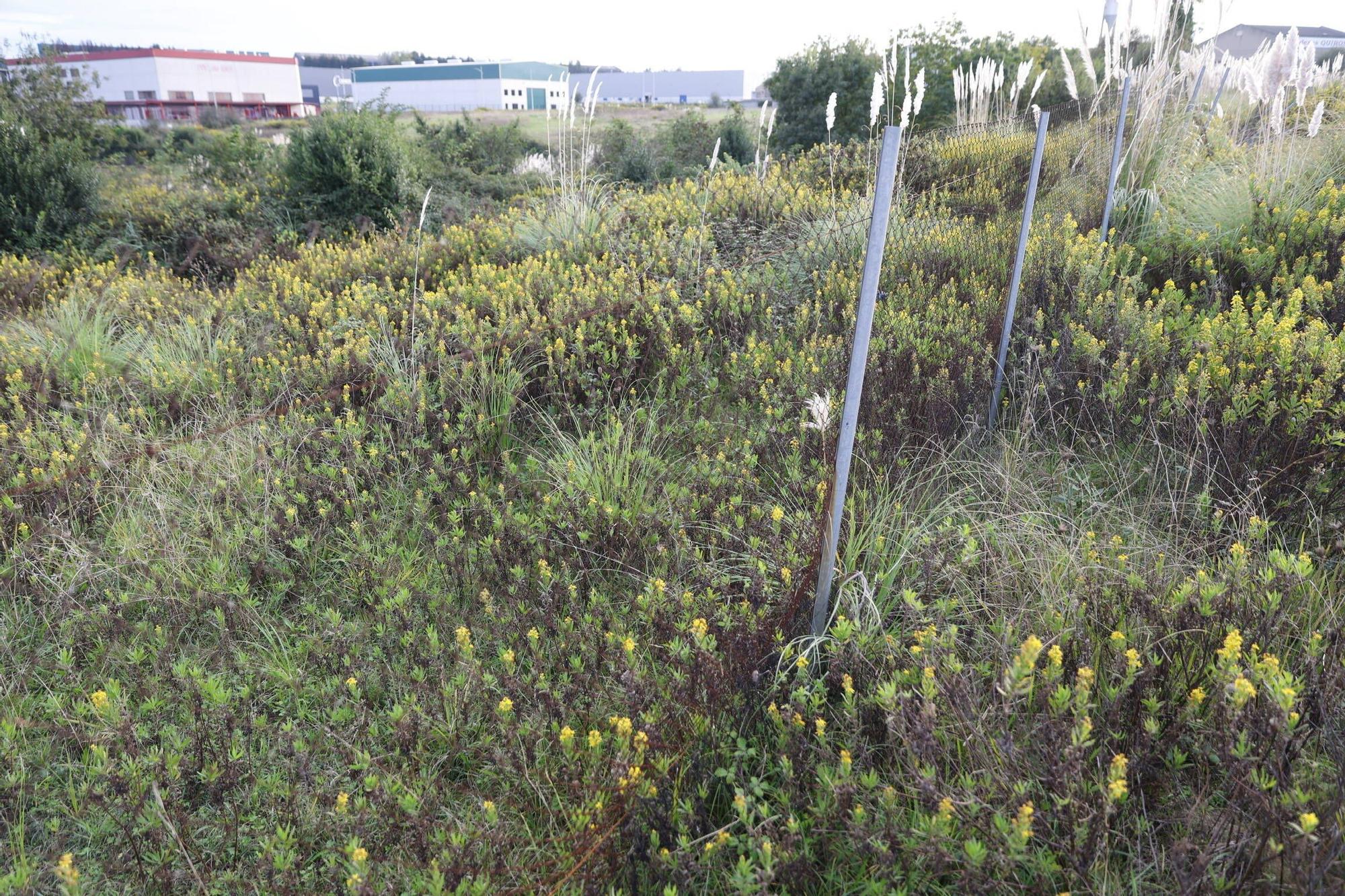 Los vecinos de Tremañes, en pie de guerra contra los parques de baterías (en imágenes)