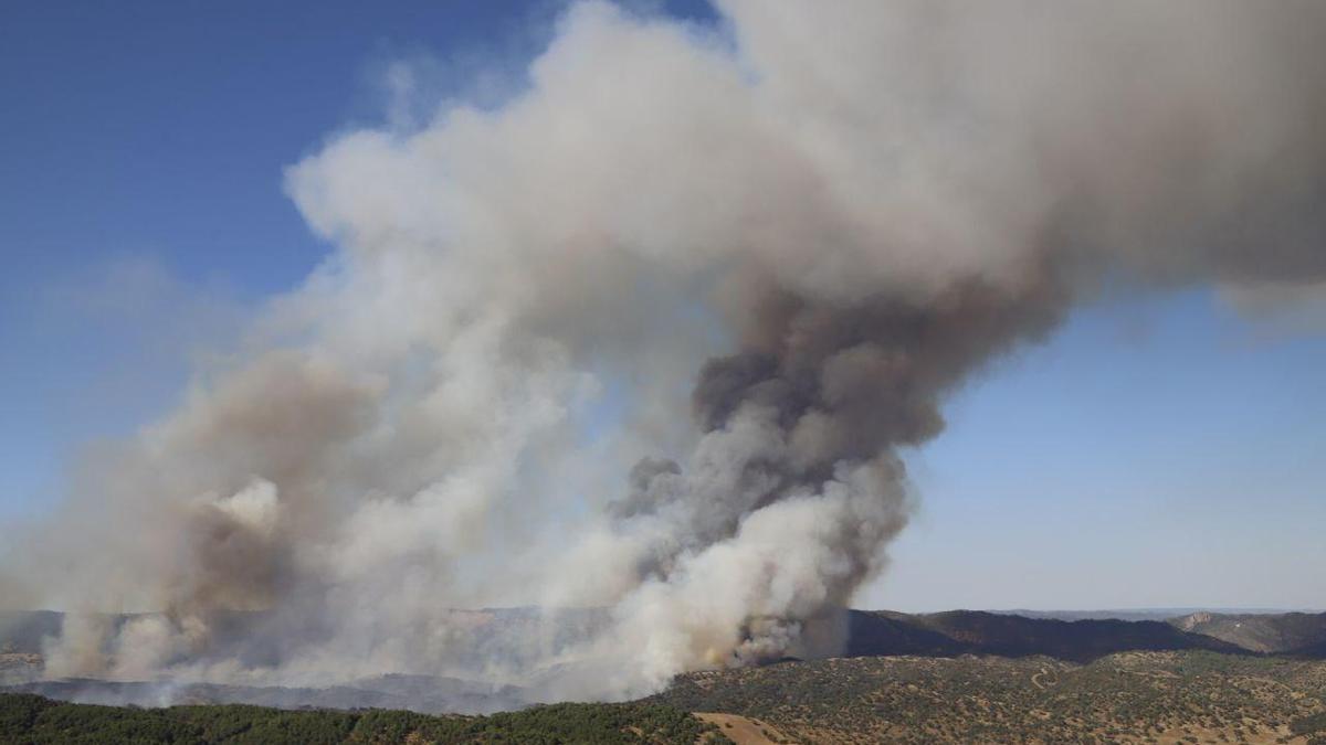 Incendio forestal en Cerro Muriano.