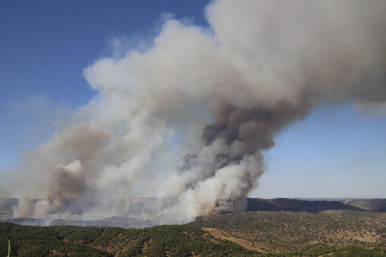 Incendio forestal en Cerro Muriano